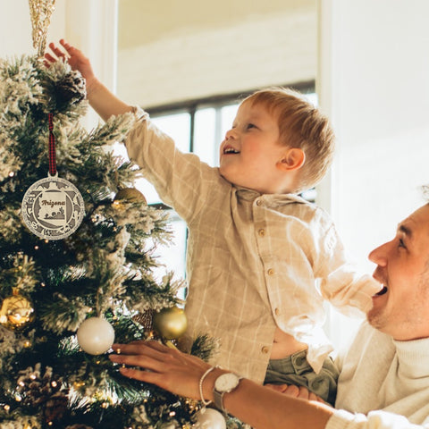 Arizona State Highlights Ornament: A festive decoration featuring iconic symbols and landmarks of Arizona, capturing the essence of the Grand Canyon State in a delightful holiday keepsake.