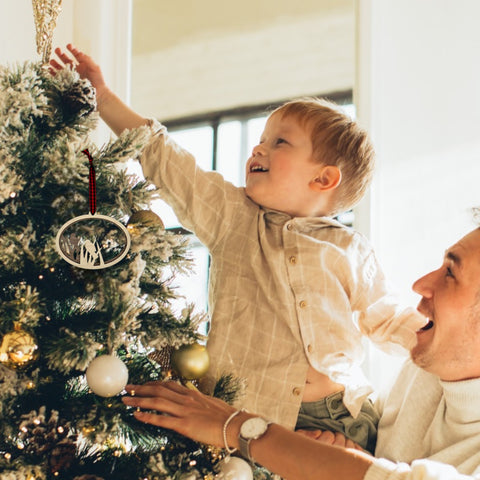 Love Nest Bird Ornament